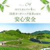 YAMASAN KYOTO UJI Organic Matcha Powder Sweets (80g x 3 bags) Domestic Pesticide-Free Additive-Free Suitable Baking