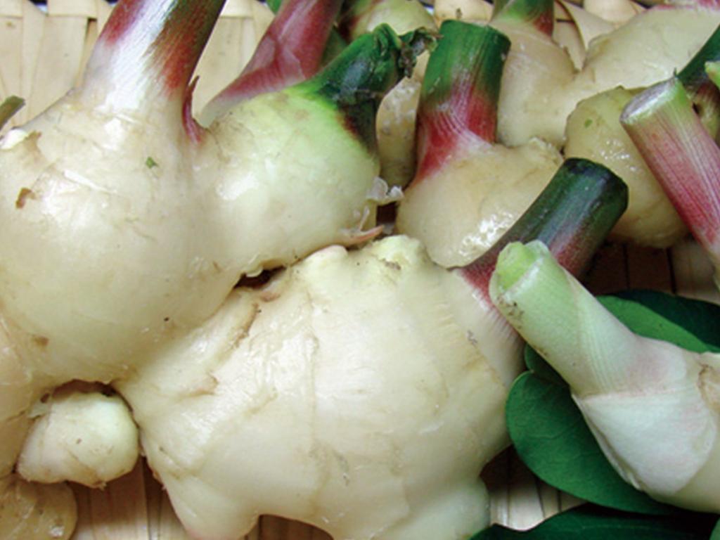 Ecot Cosme Organic Body Skin Milk Ginger (Kochi Prefecture)