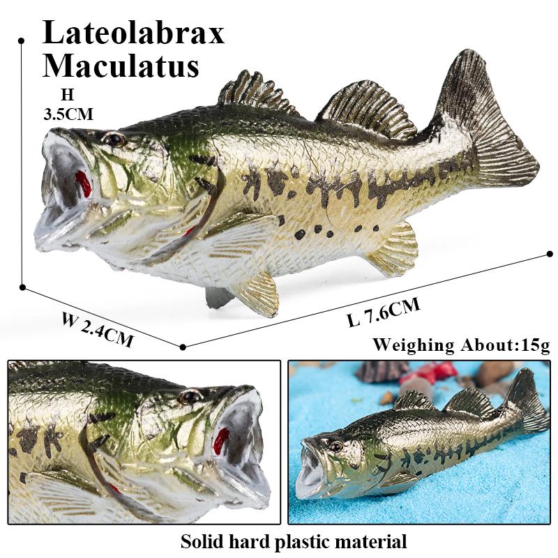 Oenux Meeresleben Modell Clownfisch Lachsbarsch Meerestier Spielfiguren PVC Hohe Qualität Bildung Miniatur Strand Kinderspielzeug