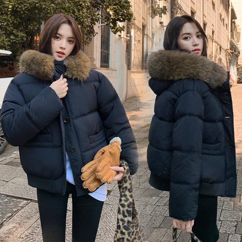 Winter New Down Padded Clothes Women's Loose Padded Clothes 2025 Casual Short Large Fur Collar Padded Jacket Thickened