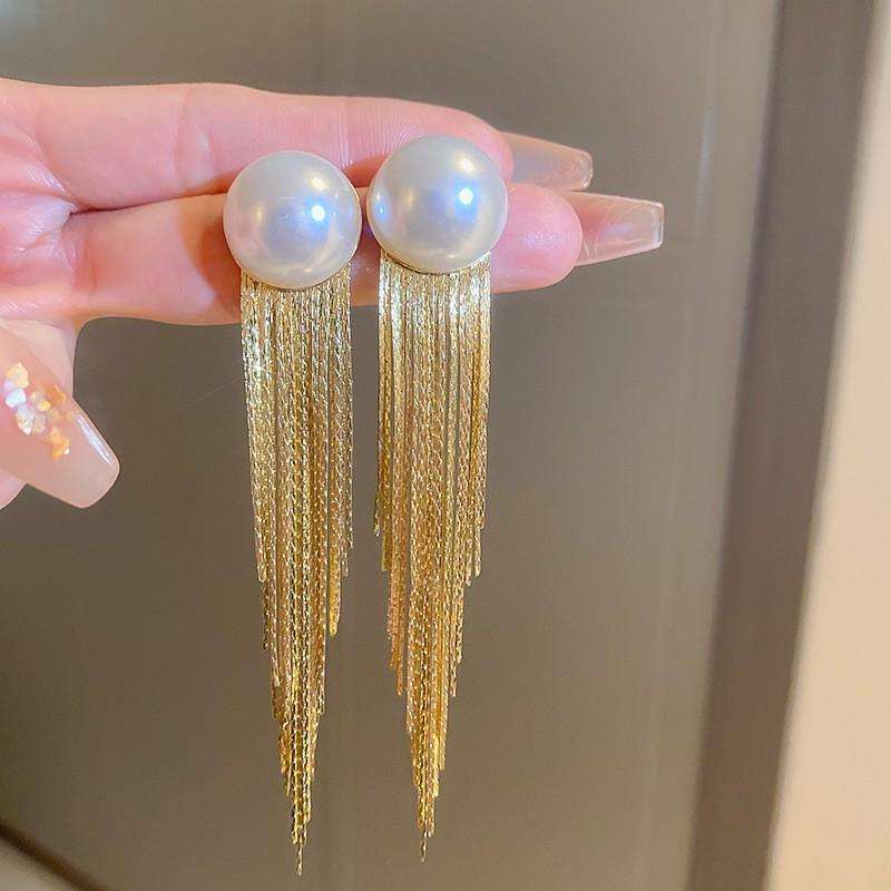 Silver Needle Metal Style Long Zircon Leaf Tassel Earrings Exquisite Fashion Earrings Cold Wind Light Luxury Temperament Earrings