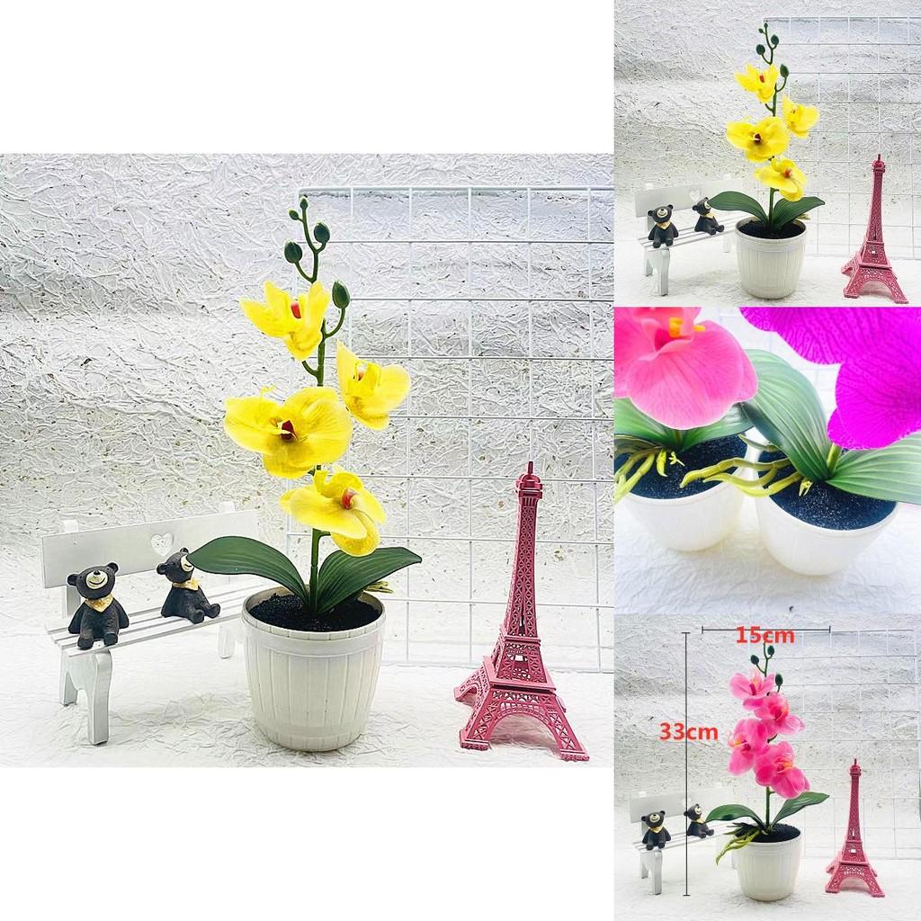 Phalaenopsis Artificial Potted Flower With Durable Material For Home Office And Gift Use