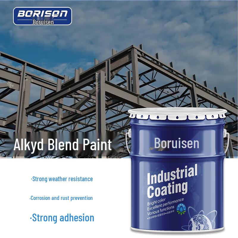 Boruise Alkyd Enamel Metal Anti-Rust Paint 20KG