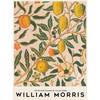 Canvas Painting Wall Art Pictures Abstract William Morris Flower Leaf Bird Vintage Posters and Prints for Living Room Home Decor