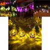 Bezaubernde Halloween LED Lichterketten mit skurrilen Kürbissen, Spinnen und Skeletten für festliche Fensterdekoration