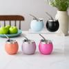 with Straw and Lid Portable Egg Cup Double Wall Tumbler Cup Argentine Yerba Mate Cup  Office