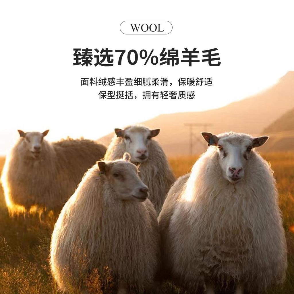 Men's Light Luxury High-End 85 Duck Down Filled Inner Liner Detachable Warm Double-Sided Woolen Coat
