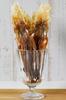Tsumami Kura Dried Squid Surume Ika Jerky 500g Salt and Umami Domestic Fresh Squid Legs
