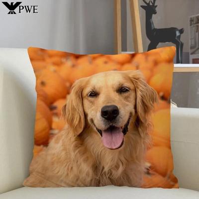 Taie d'oreiller Chien Golden Retriever Housse de coussin décorative pour canapé Taie d'oreiller Décoration intérieure Vente en gros