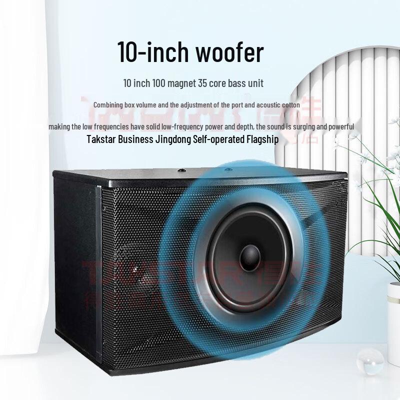 Takstar K-100 Karaoke Speaker System