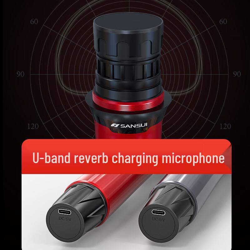 SANSUI All-in-One KTV & Outdoor Karaoke Speaker System