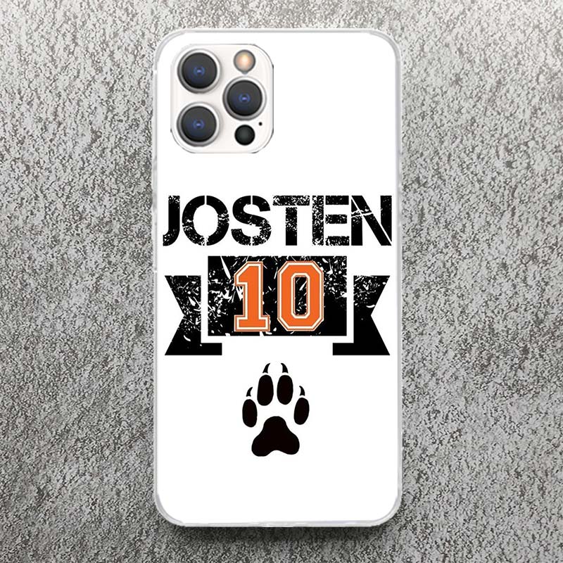 Andreil All For The Game Palmetto State Foxes Handyhülle Für iPhone 17 16 15 14 13 12 11 Pro Max Mini Plus Air 7 SE 8 Weiches Silikon