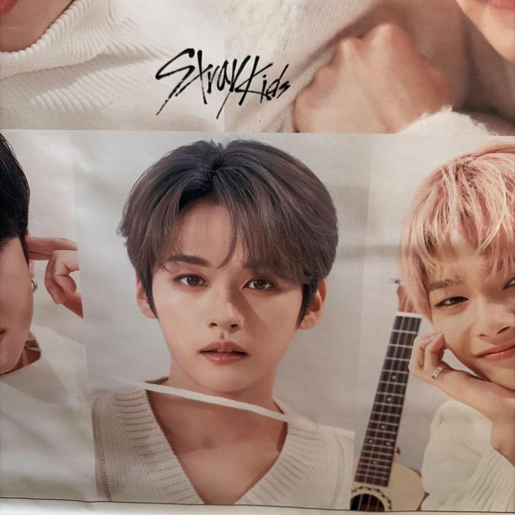 [GEBRAUCHT] Stray Kids Poster