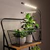 bseah Indoor Plant Grow Light, Full Spectrum, 9-Level Dimming, Auto On/Off (3/9/12-Hour Timer)