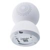IP camera Xiaomi Smart Camera C300