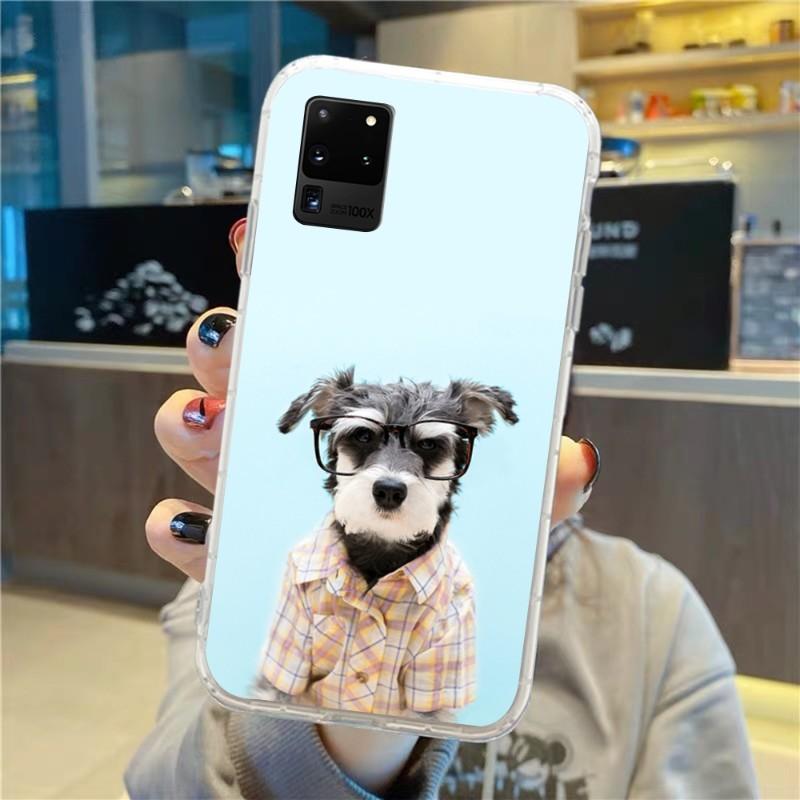 Roztomilý pes knírač nosí brýle pouzdro na telefon pro Samsung Galaxy S10 S21 S22 Plus Ultra A91 A51 A21S A12 Průhledný kryt na telefon
