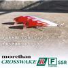 Daiwa Morethan Crosswake R90FSS-R AB Bait Lure Fishing Tackle 90mm