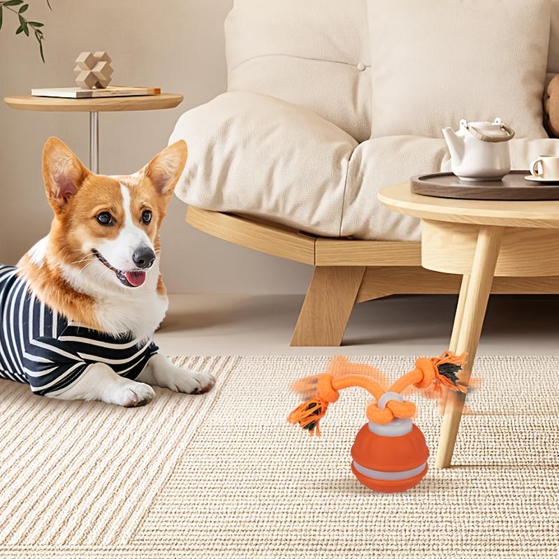 A Dog Toy That Is An Electric Bouncing Ball, Designed for Self-Entertainment, Dental Care, and To Keep Dogs Engaged