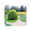 Set of 10 Ultra Strong Aluminum Garden Edging 24cm X 1m (10m Long), Color:uncolored | Garden Border