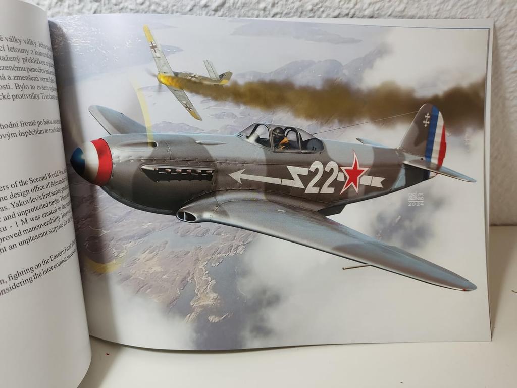 Narez Publishing World War II Aircraft Box Art by Carlos Alonso Model Reference Book NAR01