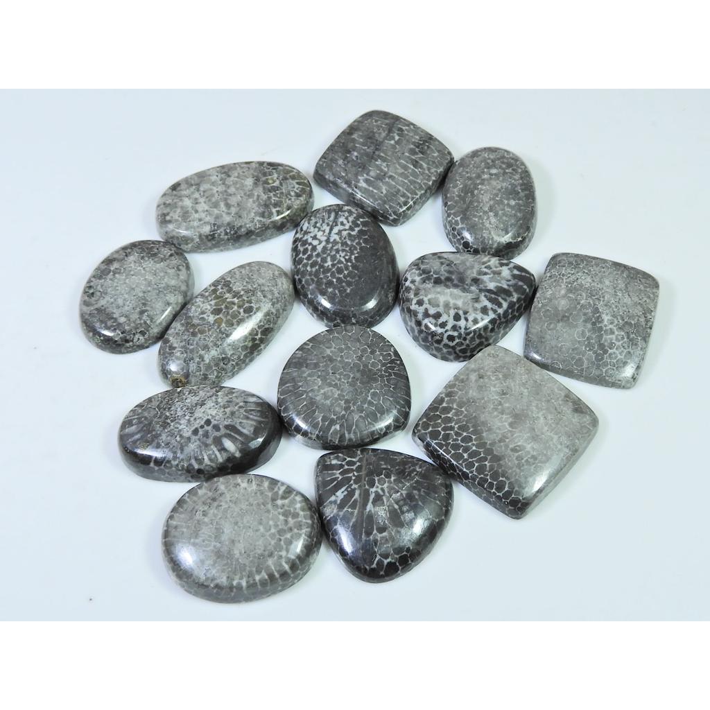 260Cts. Natural Black Fossil Coral Mix Cabochon Loose Gemstone 13 Pcs Lot C-634