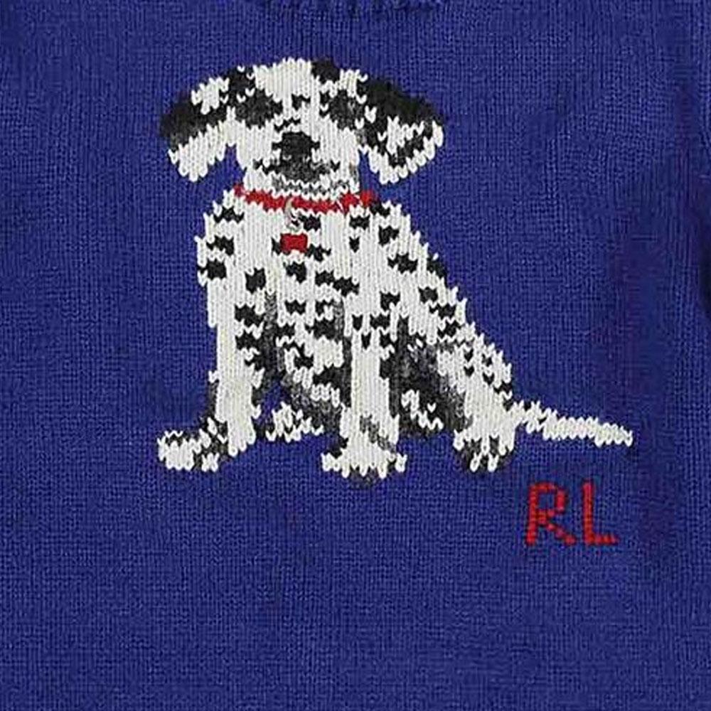 Polo Ralph Lauren Kids Printed Crew Neck Fitted Pullover Sweater Kids Sweater Blue 323920667-001
