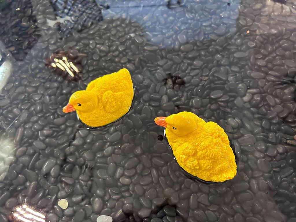 Cute Floating Yellow Duck Ornament for Fish Tanks, Pools, and Ponds