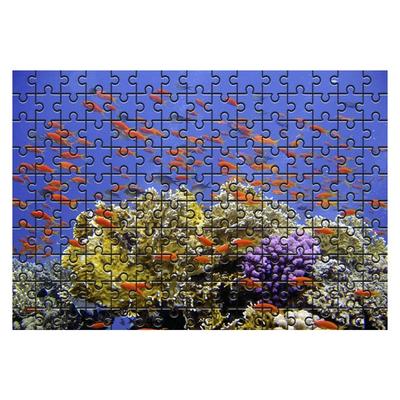 Damoa Test Tube Jigsaw Puzzle Orange Fish School, 150 Pieces, Mixed Colors Jigsaw Puzzle, Childrens Games, Educational Toys