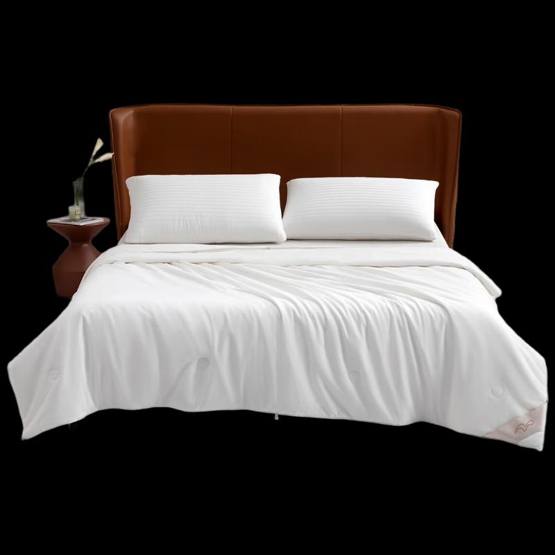 

Mercury Home Textiles Mulberry Silk All-Season Quilt