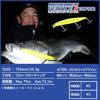 Daiwa Shoreline Shiner Z Vertis R R125F-SSR