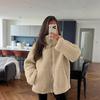 Autumn Winter Stand Collar Loose Casual Lamb Fleece Cardigan Coat Women Solid Color All-match Outwear Zipper Top