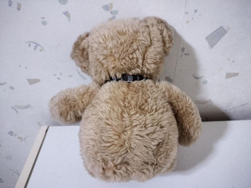 [USED] Bear Teddy Bear Plush Toy Teddy Bear Plush Toy Bear Character