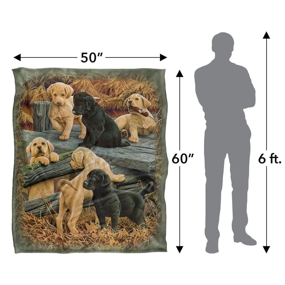 JQ Licensing Silky Labrador Puppies Supersoft Blanket