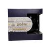 HARRY POTTER Wizarding World Cauldron Ravenclaw 350ml Mug