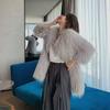 Fashion new imitation raccoon fur woven fur coat women's medium and long fur coat autumn and winter light