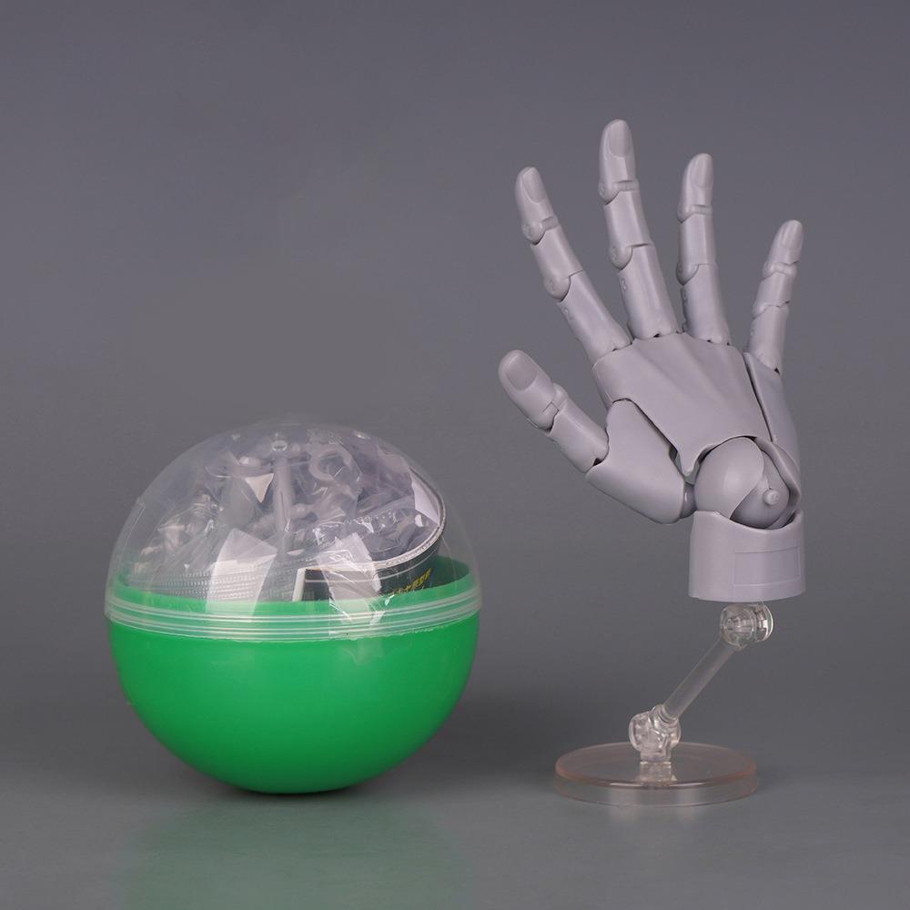 1:2 Scale Human Hand Model Mini Size Twisted Egg Design Palm Model Movable Joints With Posable Fingers Movable Finger Joints