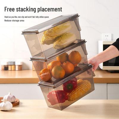 Food Grade Refrigerator Storage Box for Veggies, Fruits & Eggs