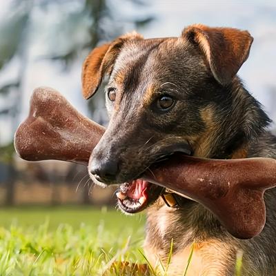 Dog Durable Beef Flavored Chew Toy Bone Shaped Dog Interactive Play To Teeth Clean Training Toy Pet Supplies