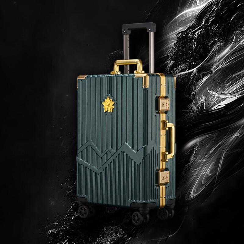 PC Hardside Spinner Luggage with TSA Lock 24 Inch