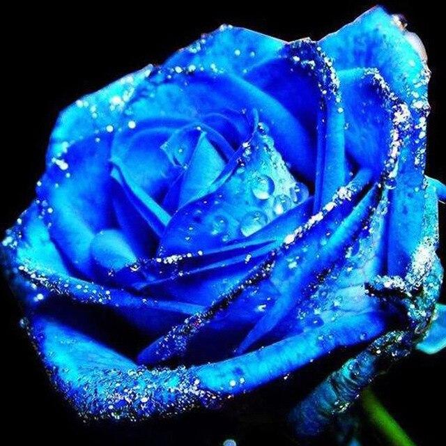 50X50CM 5D DIY Diamond Painting Flower Rose Mosaic Diamond Full Square Round Rhinestone Picture Home Decoration