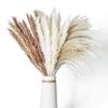 Nordic Style Dried Flower Bouquet: Mixed Arrangement with Small Reeds, Bunny Tail Grass, and Duster for Home Decoration.