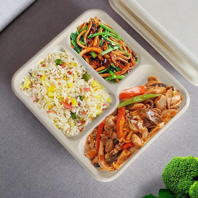 Degradable Bagasse Pulp 3-Compartment Meal Box with Lid