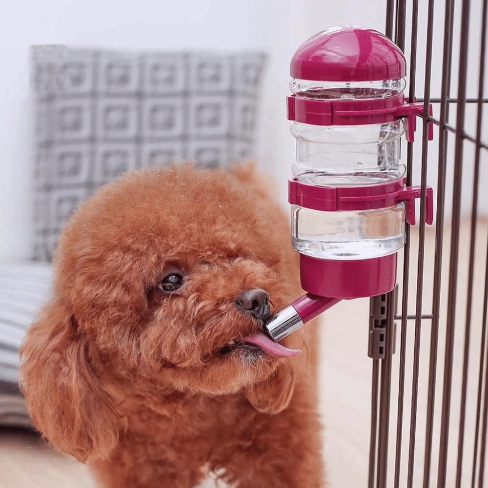 

Feeding Water Dog Kettle Pet Kettle Pet Drinking Fountains Dog Water Dispenser Dog Water Bottle красный