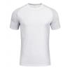 2024 Men's Quick-Drying Running T-Shirt - Summer Fitness Sportswear