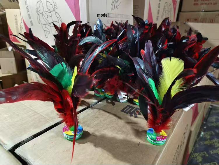 Jianzi Coloré à Plumes pour Étudiants - Grand, Plume d'Oie