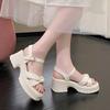 Platform sandals fairy fairy wind summer new comfortable soft surface thick heel muffin shoes Roman shoes outer wear women's shoes
