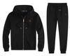 Herren Velours Polo Hoodie Set mit gesticktem Pferde-Logo