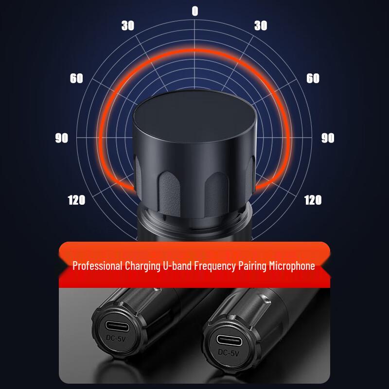 Jinzheng Portable All-in-One KTV Karaoke System