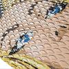 BMX Road Bike Chain Protector Silicone Chain Bicycles Frame Guards Self Adhesive