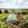 Plant Protection Cover Portable Pests Protection Cover Easy To Install Horticultural Bird Proof Net Cover For Fruits Vegetables